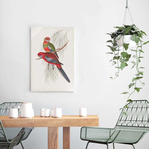 Tableaux moderne Tropical Parrot III