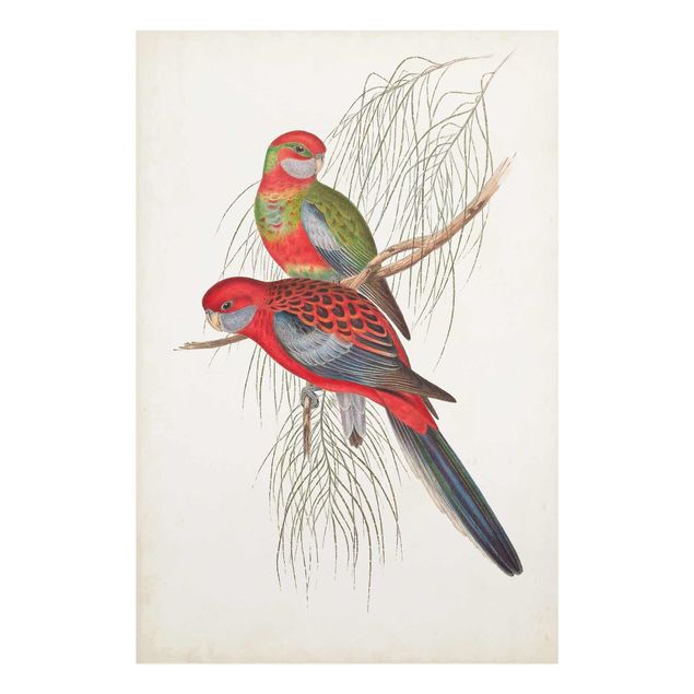 Tableaux muraux Tropical Parrot III