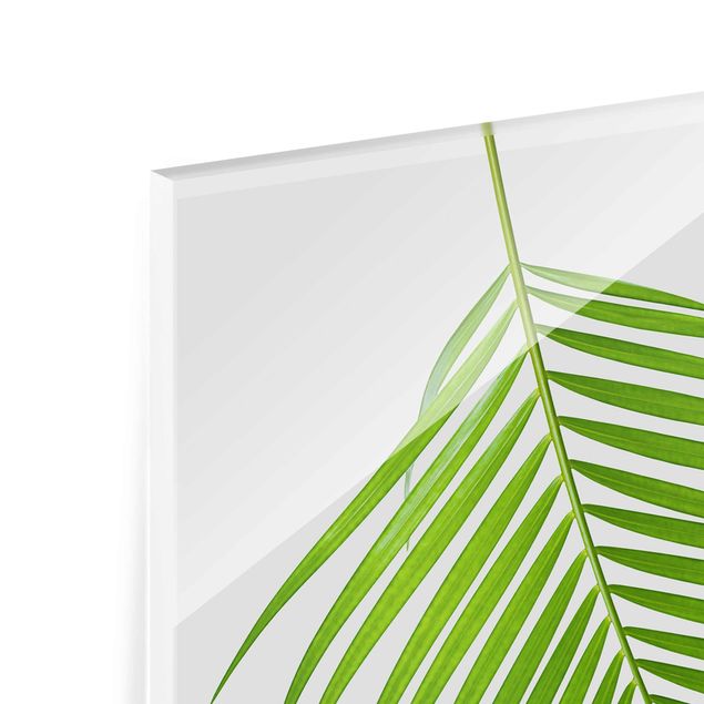 Tableau en verre - Tropical Leaf Areca Palm