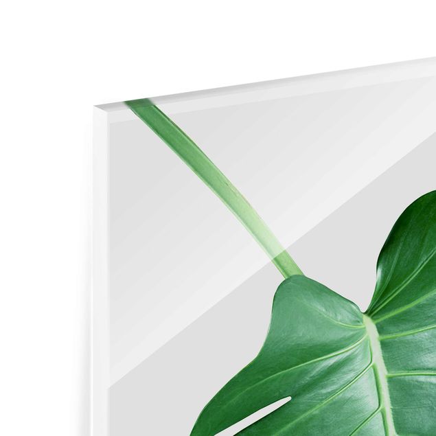 Tableau en verre - Tropical Leaf Monstera