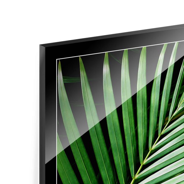 Tableau en verre - Tropical Palm Leaf