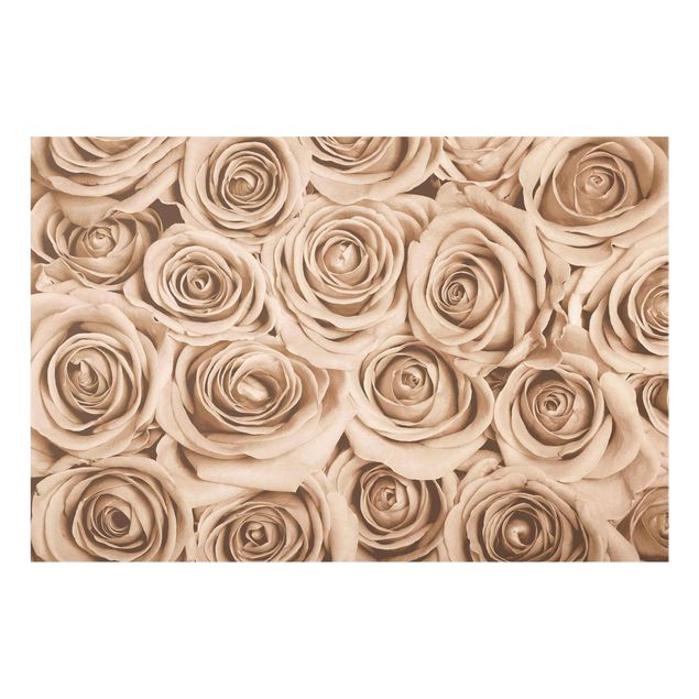 Tableau fleurs Vieilles Roses