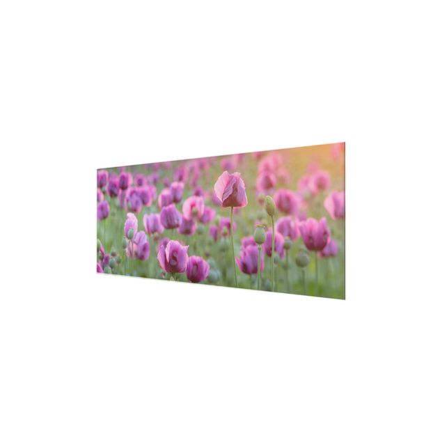 Tableaux fleurs Prairie de coquelicots violets au printemps