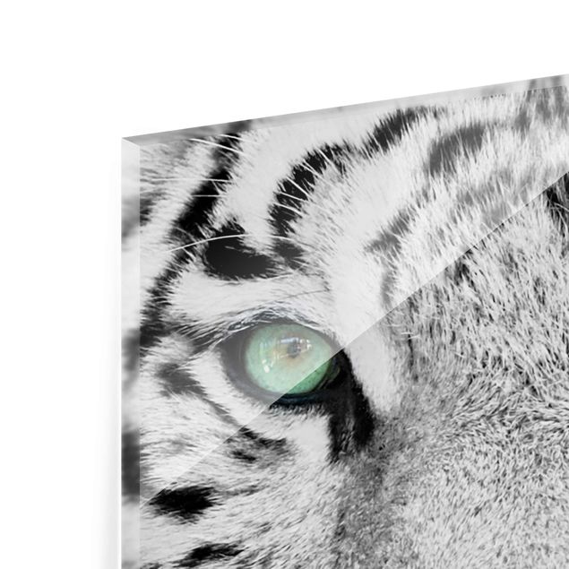Tableau décoration Tigre Blanc