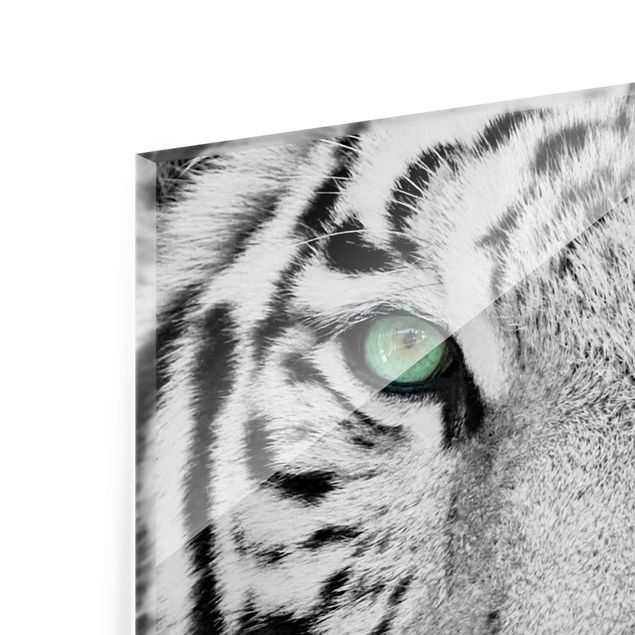 Tableaux en verre magnétique Tigre Blanc