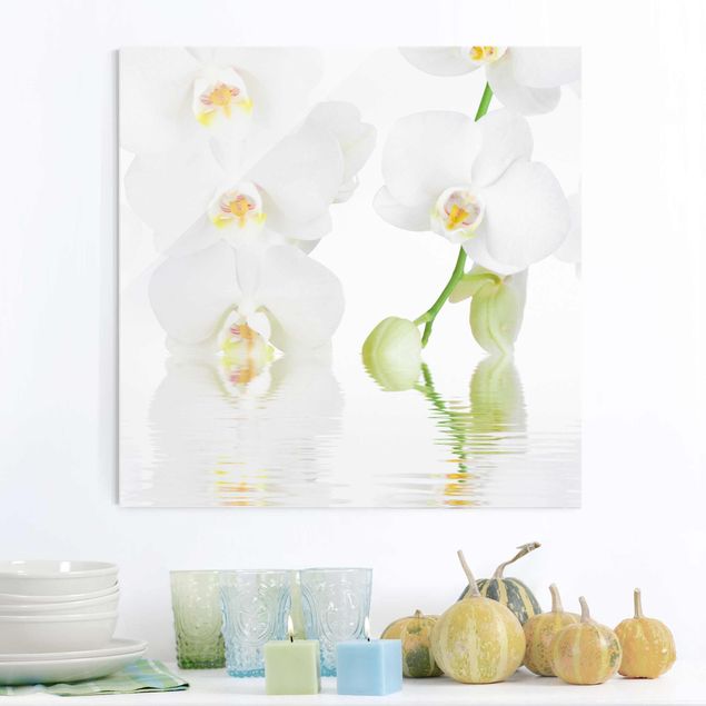 Tableaux en verre orchidée Spa Orchid - White Orchid