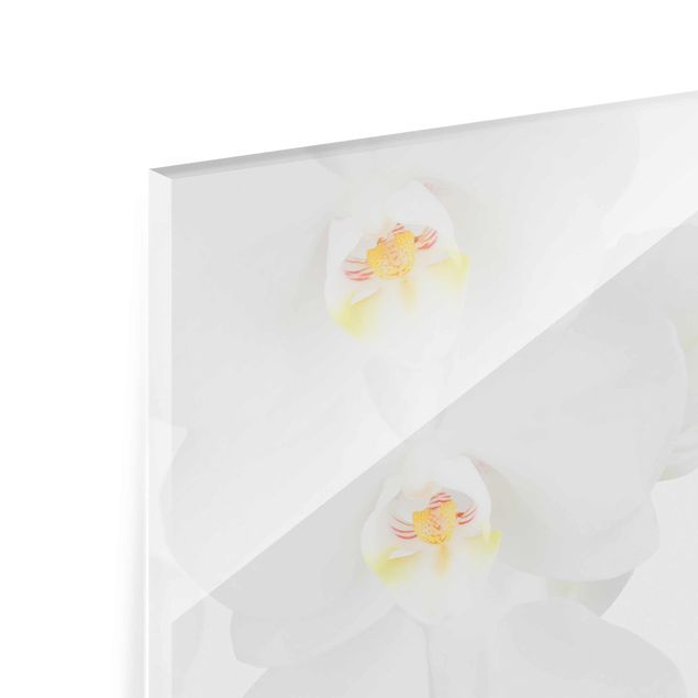 Tableaux en verre magnétique Spa Orchid - White Orchid