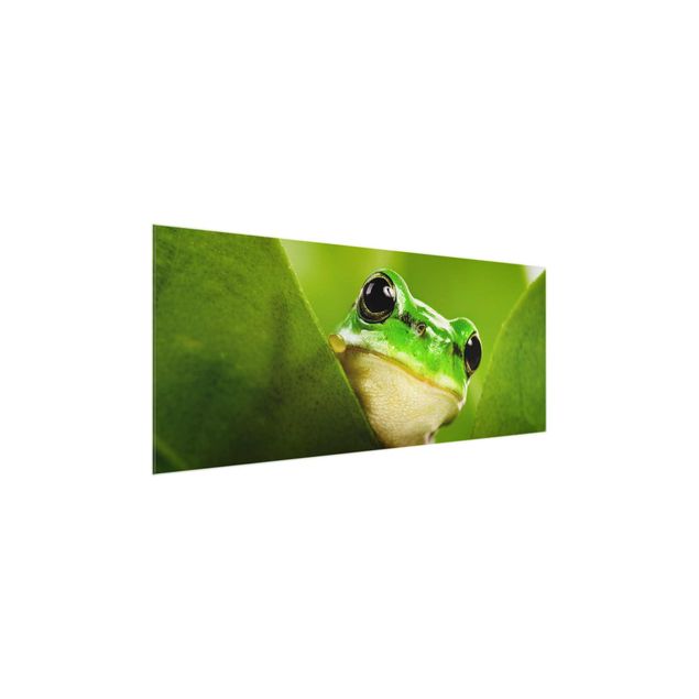 Tableau en verre animaux Frog