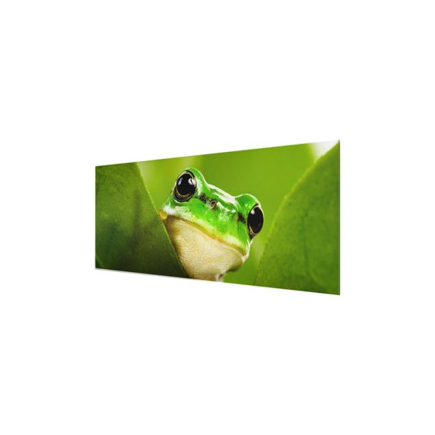 Tableaux en verre magnétique Frog