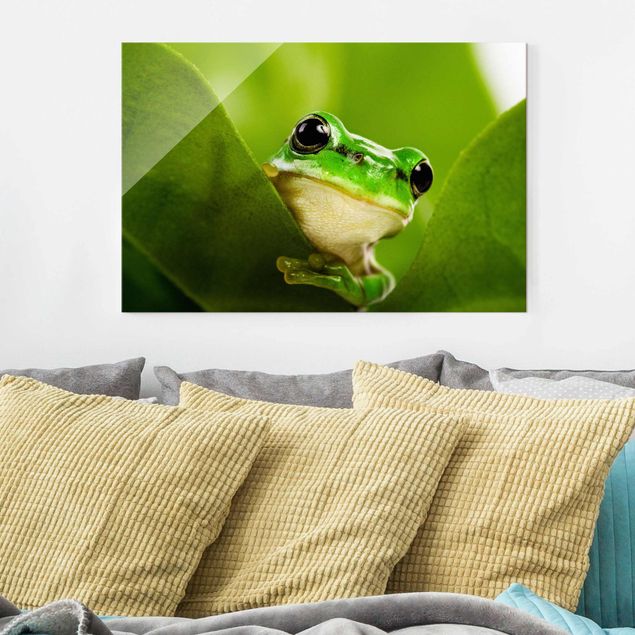 Tableaux modernes Frog