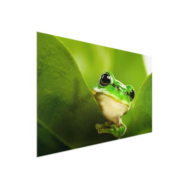 Tableau en verre animaux Frog