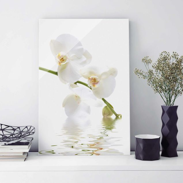 Tableaux en verre orchidée Eaux de l'Orchidée Blanche