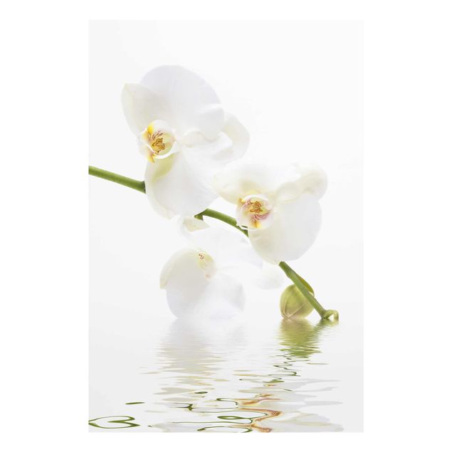 Tableau moderne Eaux de l'Orchidée Blanche