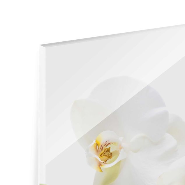 Tableaux en verre magnétique Eaux de l'Orchidée Blanche