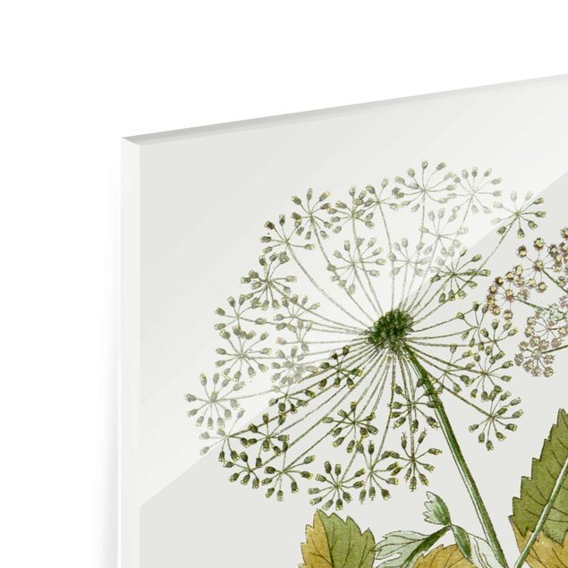 Tableau en verre - Wild Herbs Board IV