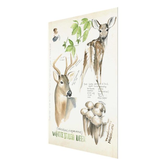 Tableau marron moderne Journal de la nature sauvage - Cerf