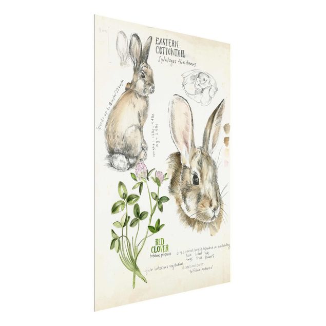 tableaux floraux Journal de la nature sauvage - Lapin
