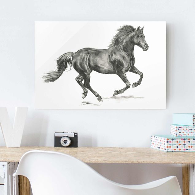 Tableau cheval Cheval sauvage - Étalon