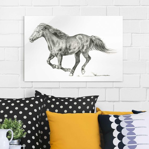 Tableau cheval Cheval sauvage - Jument