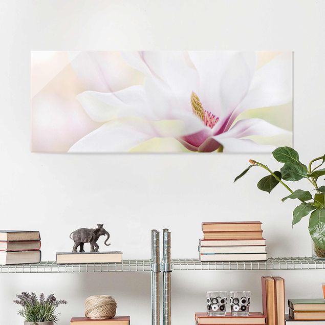 Déco mur cuisine Délicate fleur de magnolia