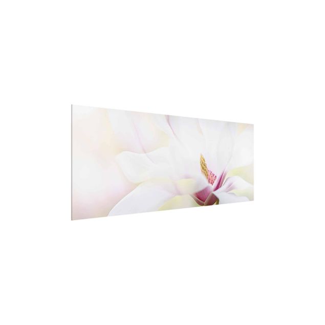 tableaux floraux Délicate fleur de magnolia