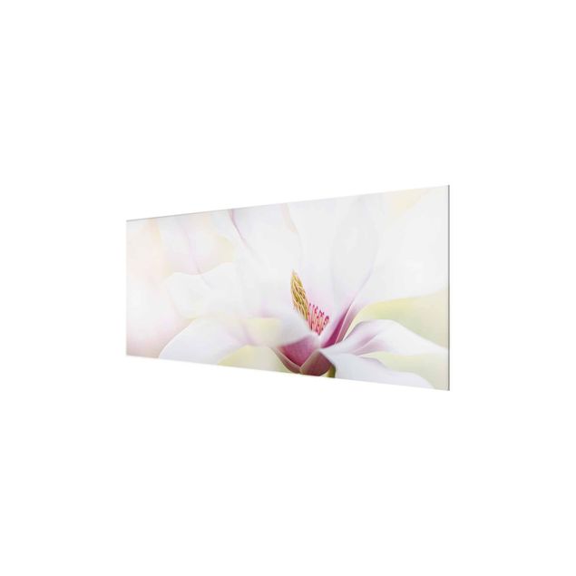 Tableaux en verre magnétique Délicate fleur de magnolia