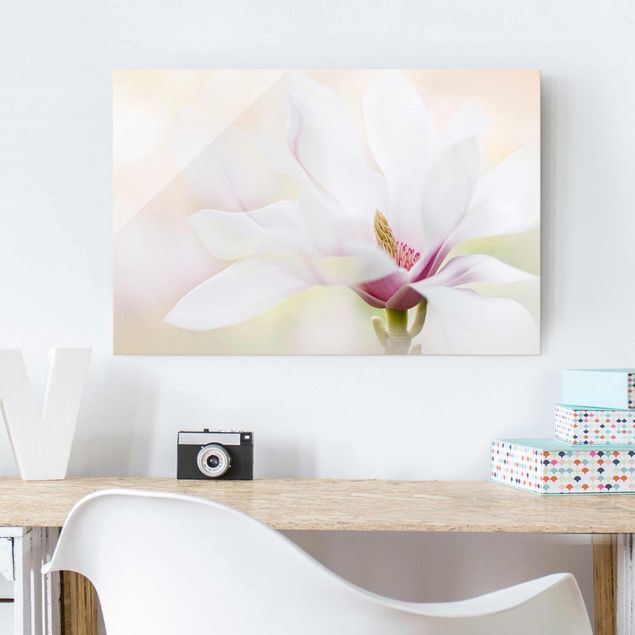 Tableaux moderne Délicate fleur de magnolia
