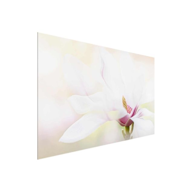 tableaux floraux Délicate fleur de magnolia