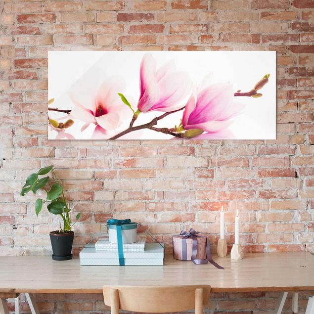Tableaux en verre fleurs Délicate branche de magnolia