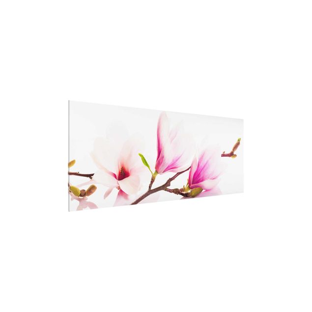 tableaux floraux Délicate branche de magnolia