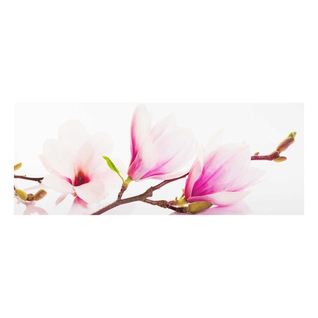 Tableau couleur rose Délicate branche de magnolia