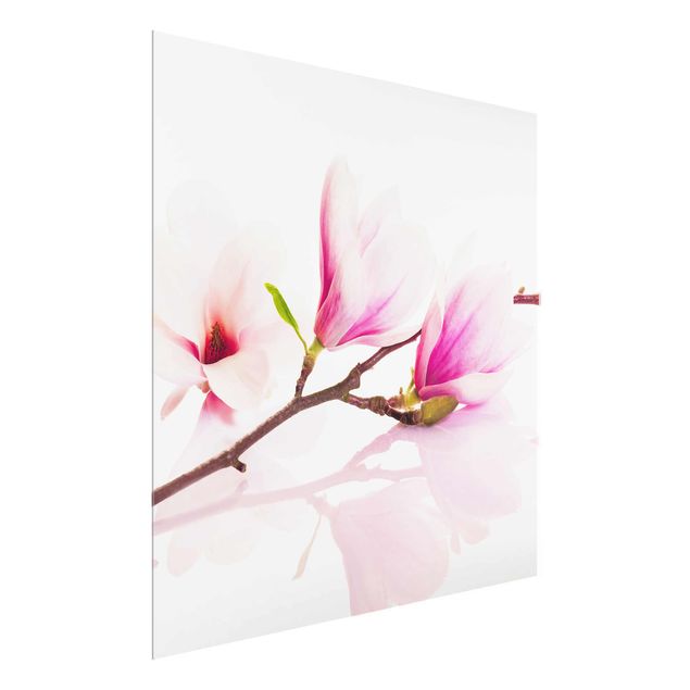 tableaux floraux Délicate branche de magnolia