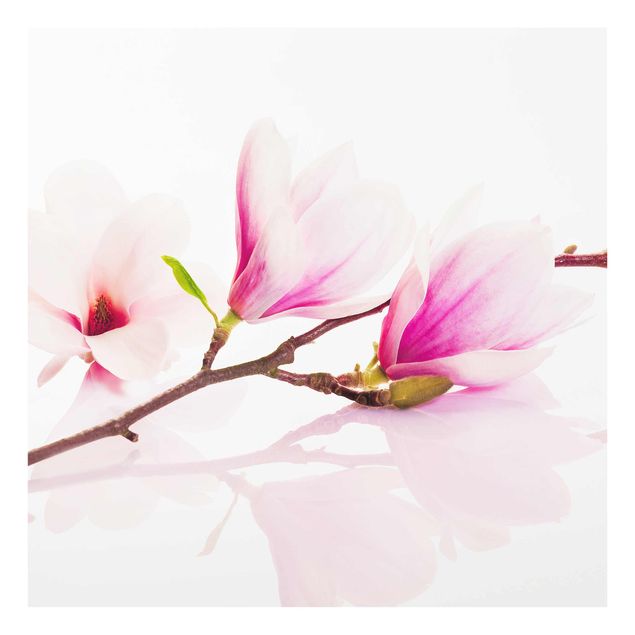 Tableau couleur rose Délicate branche de magnolia
