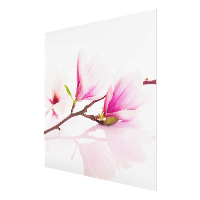 Tableaux muraux Délicate branche de magnolia
