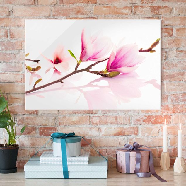 Tableaux en verre fleurs Délicate branche de magnolia