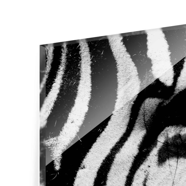 Tableaux en verre magnétique Zebra Crossing