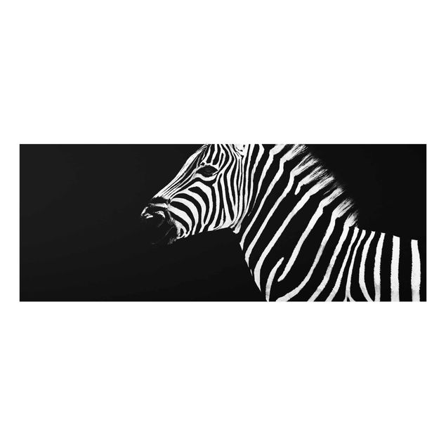 Cadre animaux Zebra Safari Art