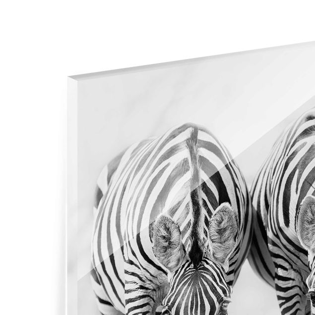 Tableaux muraux Trio de zèbres en noir et blanc
