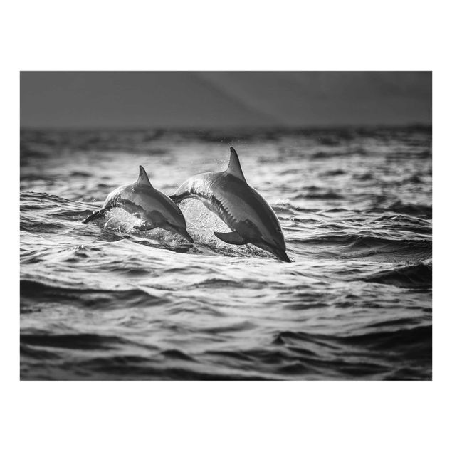 Tableaux animaux Deux dauphins qui sautent