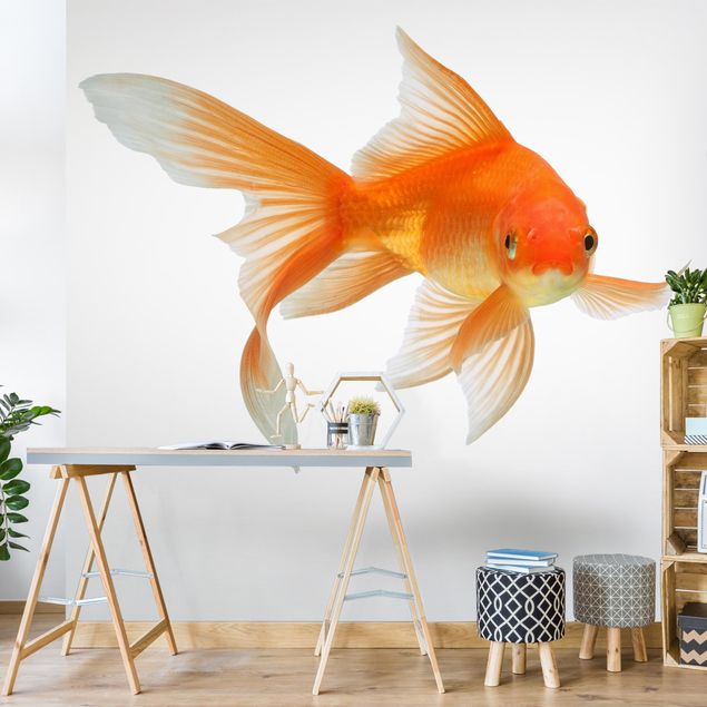 Tapisserie animaux Goldfish Is Watching You
