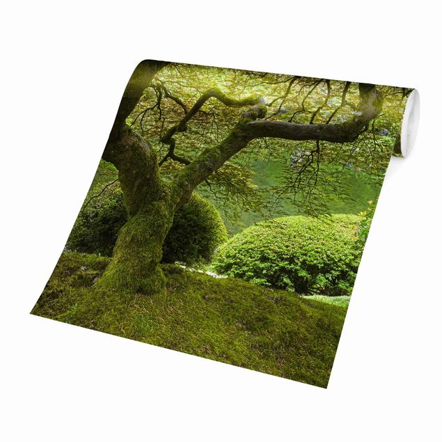 Papier peint vert Jardin japonais vert