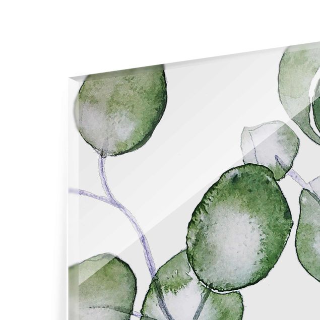 Tableaux en verre magnétique Branche d'eucalyptus vert aquarelle