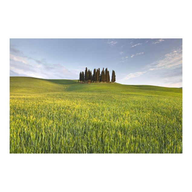 Papier peint panoramique Champ vert en Toscane