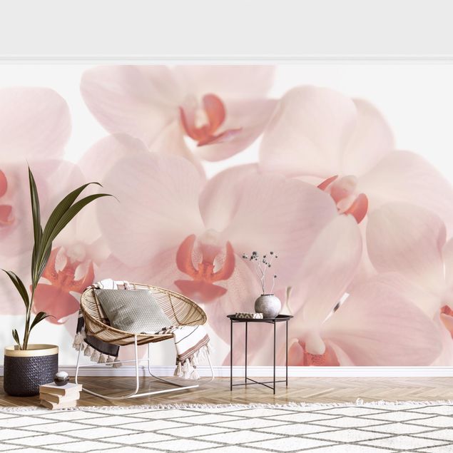 Papier peint orchidées Bright Orchid Flower Wallpaper - Svelte Orchids