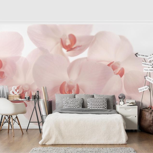 Papier peint moderne Bright Orchid Flower Wallpaper - Svelte Orchids