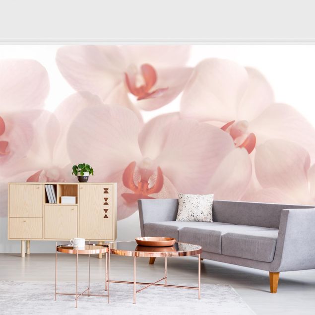 Papier peint fleurs Bright Orchid Flower Wallpaper - Svelte Orchids