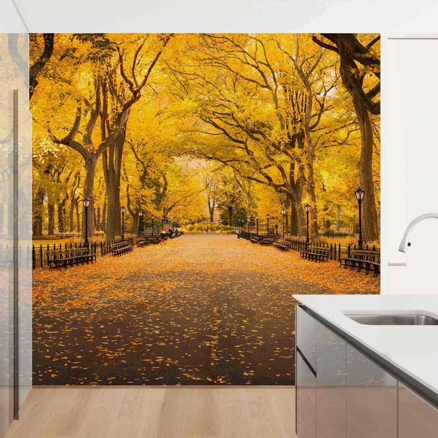 Papier peint New York Automne à Central Park