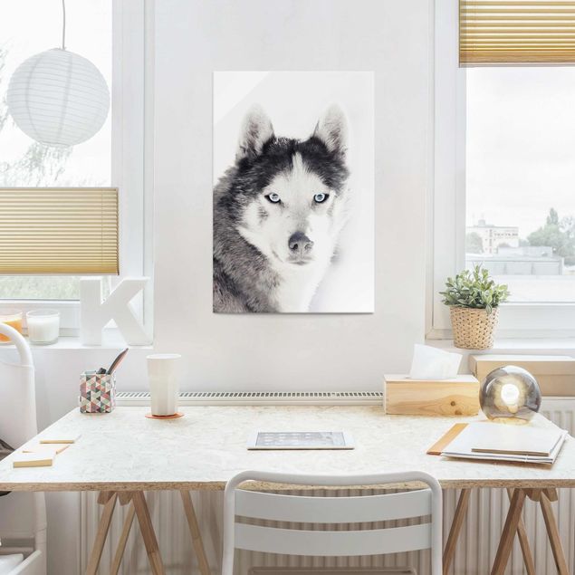 Tableaux chiens Portrait d'un Husky