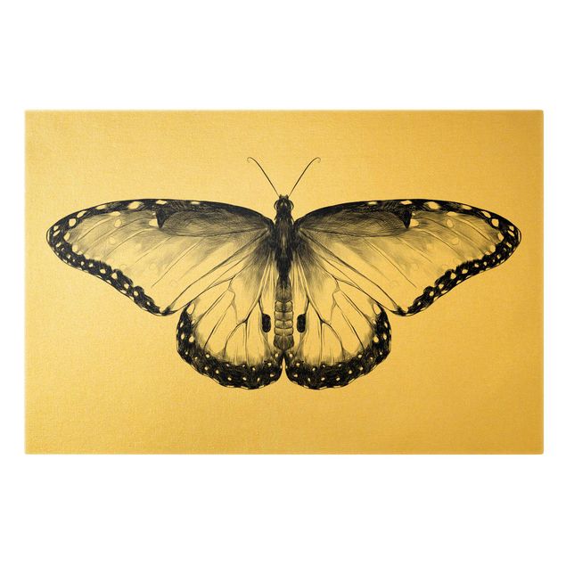 Toile imprimée animaux Illustration Flying Common Morpho Black