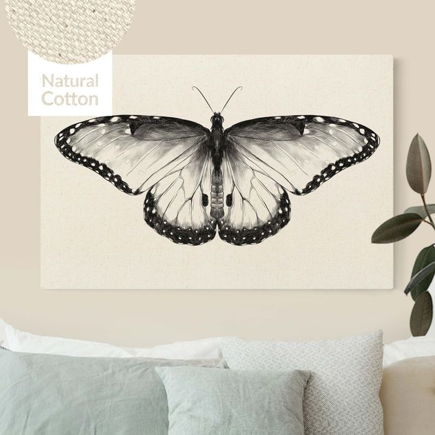 Tableaux papillons Illustration -  Papillon Morpho volant noir